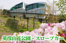 道の駅「歓遊舎ひこさん」