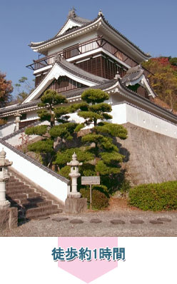 ひこさん花工房