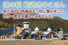 道の駅「歓遊舎ひこさん」